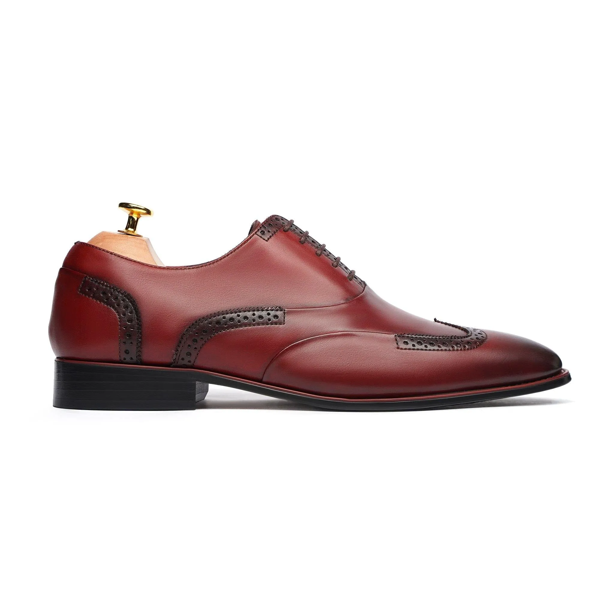 ANKARA - OXBLOOD OXFORD