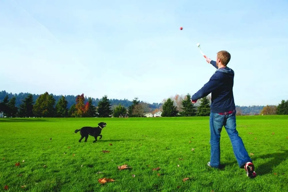 Lanzador de Pelotas para Perros ChuckIt! Sport