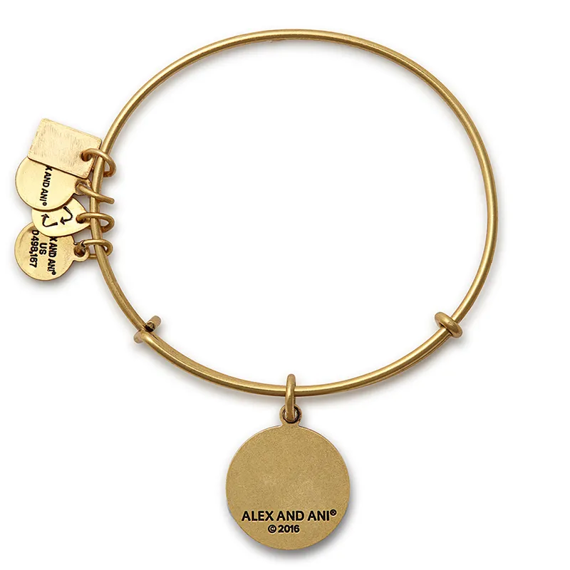 Team USA Track   Field Charm Bangle